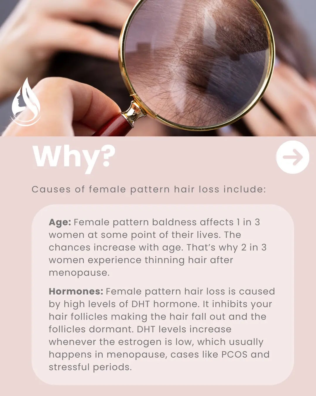 Zephta H-Regrow 2.0 Store Hub Arabia