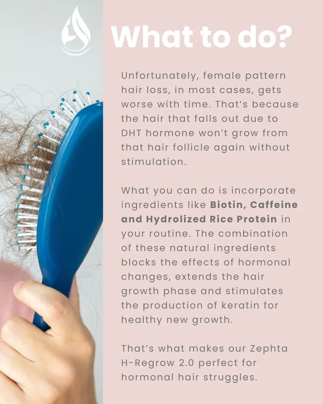 Zephta H-Regrow 2.0 Store Hub Arabia